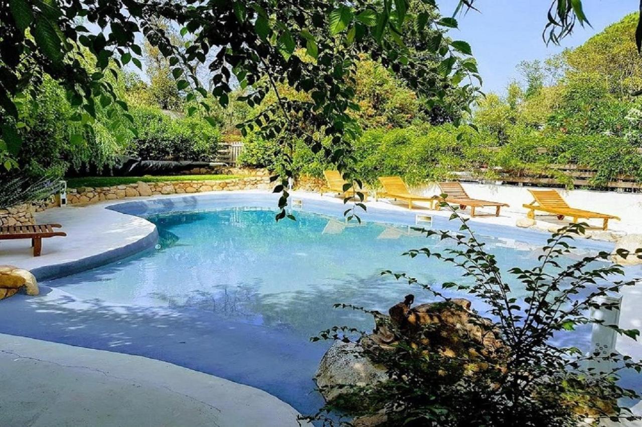 Salvacintoggio -Votre Villa Avec Piscine Privee- Porto-Vecchio  Zewnętrze zdjęcie